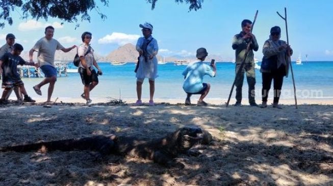 Pemberlakuan Tarif Baru Masuk Pulau Komodo Rp3,75 Juta Ditunda