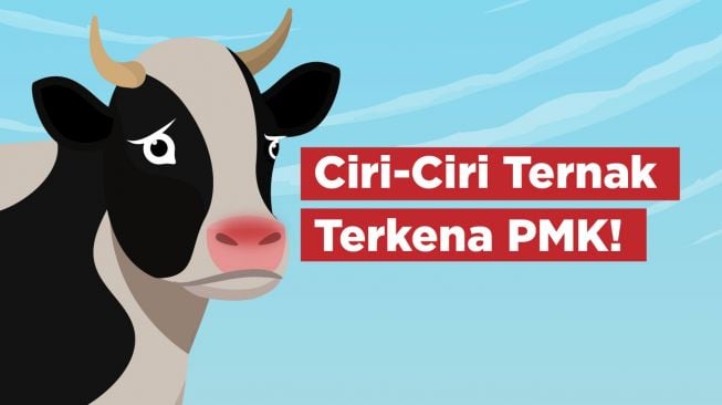 INFOGRAFIS: Ciri-Ciri Ternak Terkena PMK!