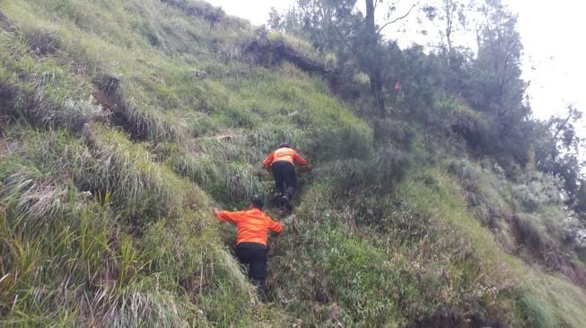 Roni Hilang Misterius di Jalur Puncak Gunung Bromo, Ada yang Sempat Melihatnya Mainan Daun Seperti Linglung