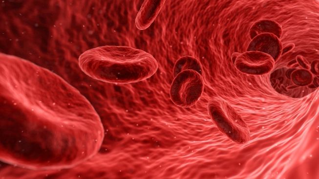 3 Tips Memilih Jenis Makanan untuk Meningkatkan Kadar Hemoglobin Darah