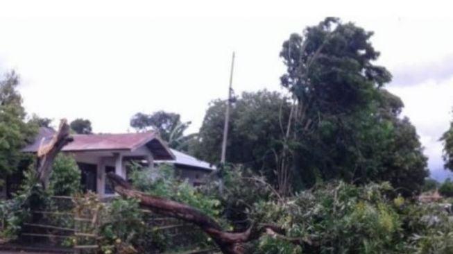 NTT Waspada Angin Kencang, Muncul Tekanan Rendah di Selat Karimata sebelah Barat Kalimantan