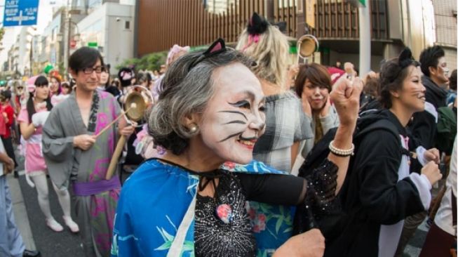 Mengenal Festival Bakeneko: Kemeriahan Festival Kucing di Jepang