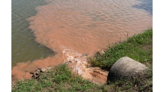 Air Keruh Mengalir di Rumah Anda? Ini Penjelasan PDAM Tirta Musi Palembang