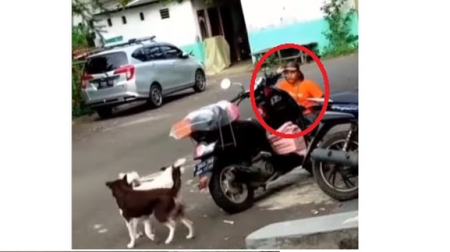 Geger Kurir Diserbu Anjing saat Antarkan Paket, Publik: Mau Nimpuk tapi Peliharaan Pelanggan