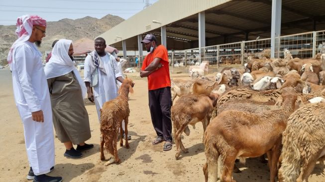 Jelajah Pasar Anam, Lapak Jualan Kambing untuk Jemaah Haji Bayar Dam