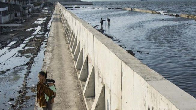 Warga Medan Diminta Dukung Pembangunan Tembok Laut di Belawan, Anggota DPRD: Ini Kesempatan Emas