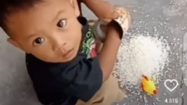 Ibu Pergoki Anak Beri Makan Ayam Mainan Pakai Beras, Warganet: Anak Cerdas