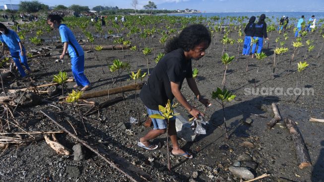 Aksi Tanam Mangrove Dan Bersih Pantai Di Palu 5137