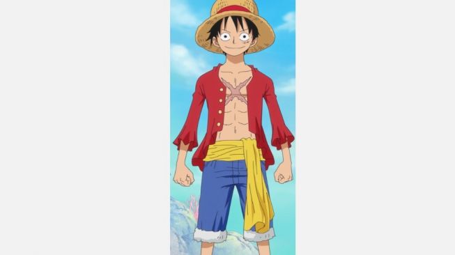 Luffy, One Piece. [Onepiece.fandom]