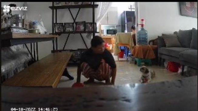 Cek CCTV, Perempuan Ini Dibikin Terkejut dengan Perlakuan ART ke Anjingnya