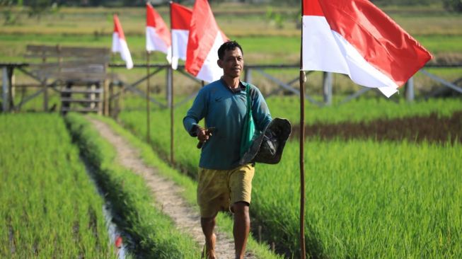 Seorang petani di sawah berdiri tegak sempurna saat sesi menyanyikan lagu Indonesia Raya menjadi Perhatian Ganjar Pranowo. [Dok Pemprov Jateng]
