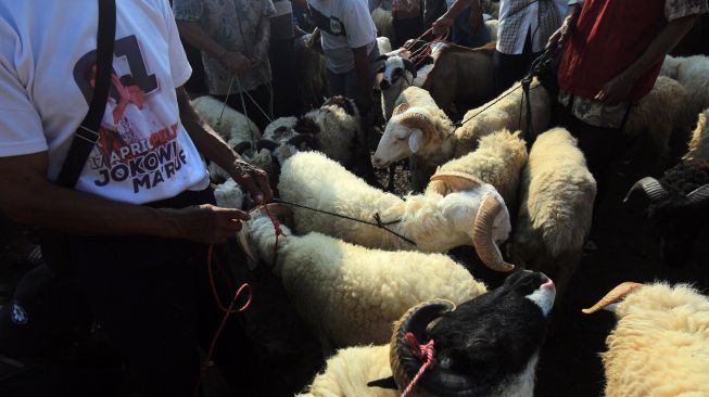 Sejumlah pedagang menjajakan hewan untuk kurban di Pasar Hewan Jonggol, Kabupaten Bogor, Jawa Barat, Kamis (30/6/2022).  ANTARA FOTO/Yulius Satria Wijaya
