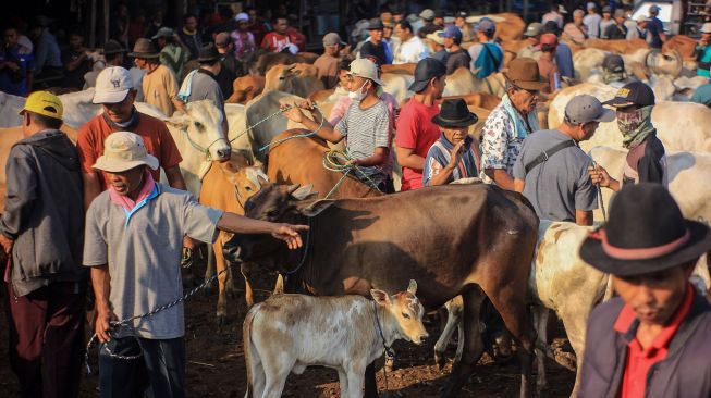 Sejumlah pedagang menjajakan hewan untuk kurban di Pasar Hewan Jonggol, Kabupaten Bogor, Jawa Barat, Kamis (30/6/2022).  ANTARA FOTO/Yulius Satria Wijaya
