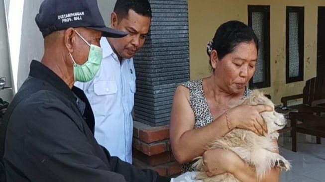 5 Warga Digigit Anjing Rabies, Tim Keswan Turun Vaksinasi Rabies