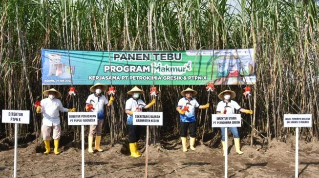 Program Makmur Tingkatkan Produktivitas dan Pendapatan Petani Tebu Kediri