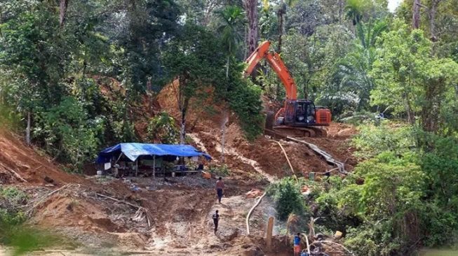 Viral Mantan Anggota Polri Mengaku Setor Rp6 Miliar ke Kabareskrim Untuk Tambang Ilegal di Kalimantan Timur