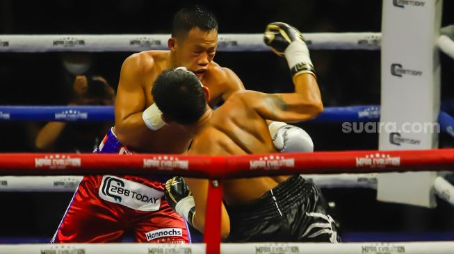 Petinju Indonesia Daud Yordan (merah) saat bertarung melawan petinju Thailand Panya Uthok (hitam) dalam laga mempertahankan gelar juara kelas ringan super World Boxing Council atau WBC Asian Boxing Council Silver di Balai Sarbini, Jakarta Pusat, Jumat (1/7/2022). [Suara.com/Alfian Winanto]