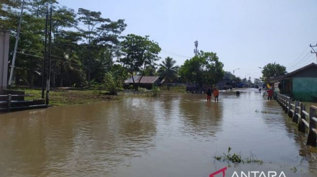 Banjir Rendam 4.550 Rumah Warga di Empat Daerah di Provinsi Bengkulu