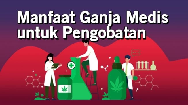 INFOGRAFIS: Mengenal Ganja Medis untuk Pengeboatan