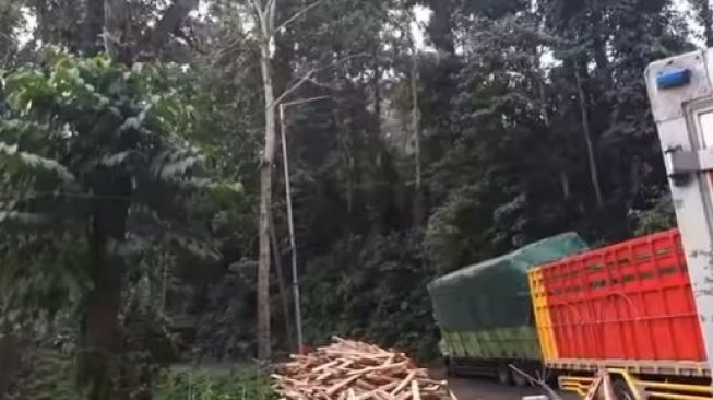 Detik-detik peristiwa truk terguling di jalur Gumitir, akses Jember Banyuwangi. [Instagram /@bwitoday]