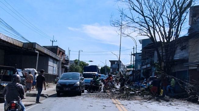 Dahan Pohon Menimpa Pemotor di Malang, Seorang Terluka