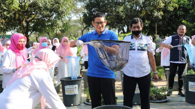 Program Juragan Lele Sandiaga Uno Panen Ratusan Kilo Ikan, Warga Miliki Penghasilan Tambahan