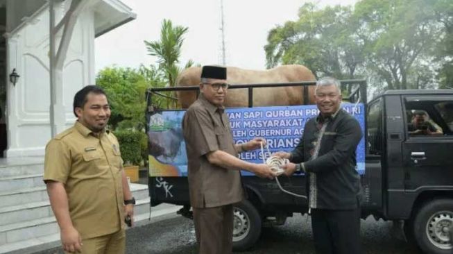 Jokowi Sumbang Sapi Kurban Berbobot 874 Kilogram untuk Aceh Tengah