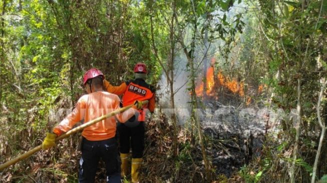 Karhutla Terjadi di Bontang, Dugaan BPBD Masyarakat Buka Lahan dengan Cara Dibakar