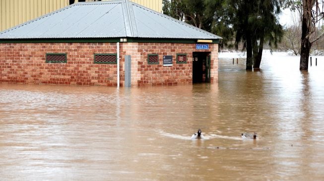 Pemandangan daerah yang tergenang air akibat hujan deras di pinggiran Camden, Sydney, Australia, Minggu (3/7/2022). [Muhammad FAROOQ / AFP]
