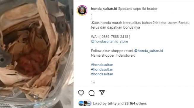 Niat bongkar lampu motor, pria ini temukan bayi tikus di dalamnya (Instagram)