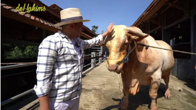Presenter Irfan Hakim akhirnya mendapatkan sapi terbesar di Indonesia yang diberni nama Wisangggeni untuk menjadi hewan kurban. [YouTube/deHakims]
