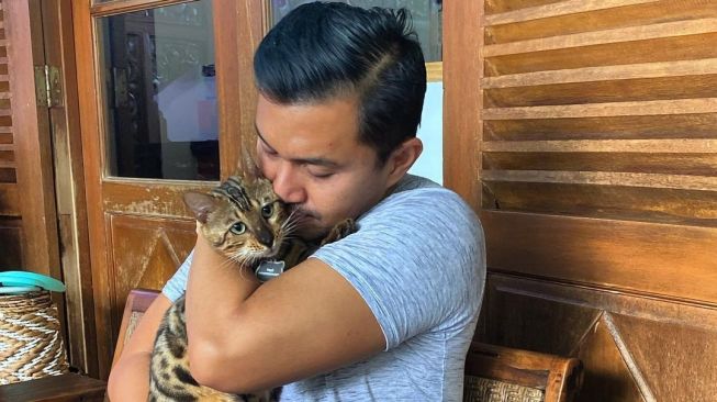 Kucing Ras Bengal Seharga Rp42 Juta Hilang, Anjasmara Buat Sayembara: Tolong