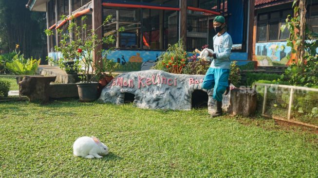 Petugas membawa kelinci ke lapangan untuk bermain di Taman Kelinci Bambu Apus, Jakarta Timur, Rabu (6/7/2022). [Suara.com/Alfian Winanto]