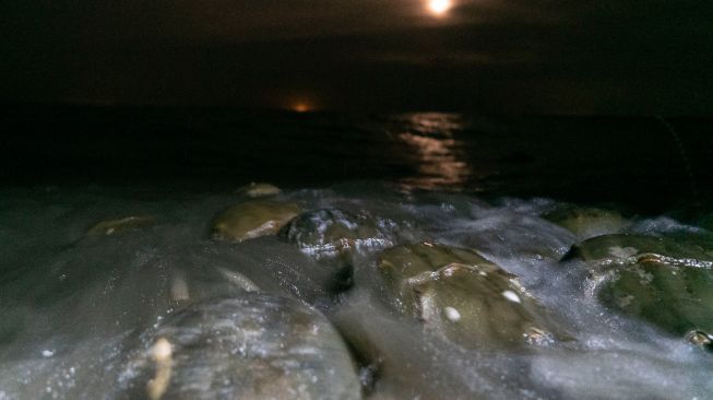  Bulan terbit di atas saat kepiting tapal kuda bertelur di pantai di Area Konservasi Ted Harvey di Dover, Delaware, Amerika Serikat, Jumat (17/6/2022). [Bastien INSAURRALDE / AFP]
