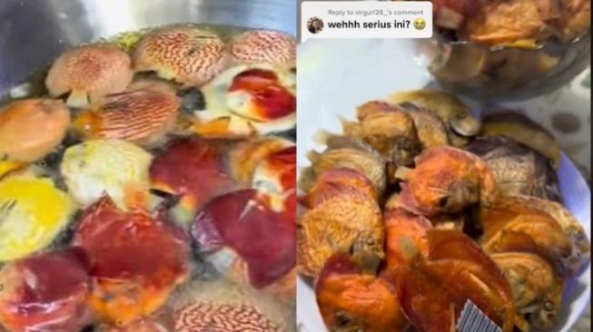 Viral Wanita Goreng Ikan Mahal Milik Suami Gegara Hal Ini, Publik: Kenapa Gue Deg-degan Ya?