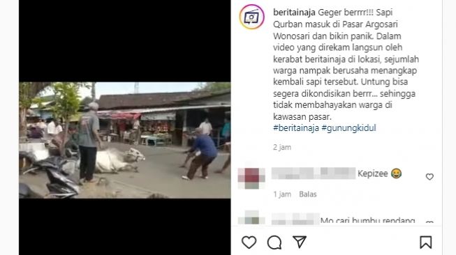 Seekor sapi kurban kabur masuk ke Pasar Argosari, Gunung Kidul, DI Yogyakarta dan membuat panik warga. (Instagram/@beritainaja)