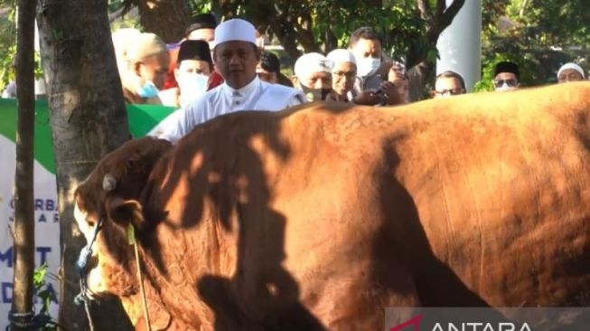 Ada Pejabat Kurban 15 Ekor Sapi, Plh Gubernur Jabar: Salurkan ke Daerah Terpencil