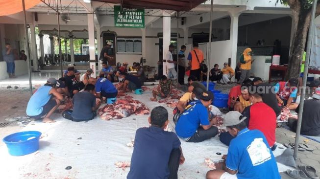 Kasus Hewan Kurban Terkena Cacing Hati Meningkat Pesat di Kabupaten Bantul