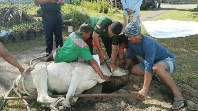 2 Ekor Sapi Kurban untuk Warga Binaan Lapas Ketapang