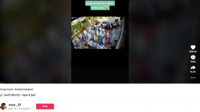 Hewan kurban kabur, bubarkan jamaah salat Idul Adha. [TikTok]