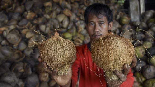 Pekerja menunjukan kelapa yang sudah dikupas di Kampung Margaluyu, Kabupaten Ciamis, Jawa Barat, Selasa (12/7/2022).  ANTARA FOTO/Adeng Bustomi