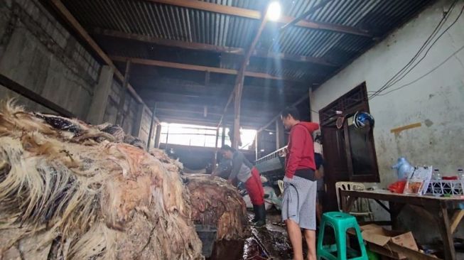 Usai Hari Raya Idul Adha, Pengepul Kulit Sapi dan Kambing di Jakarta Dulang Rupiah