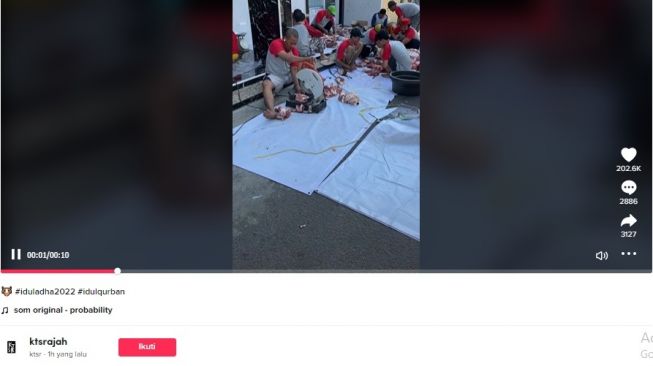 Alat pemotong tulang hewan kurban yang anti mainstream. [TikTok]