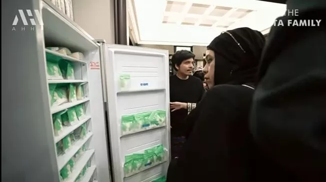Stok ASI Aurel