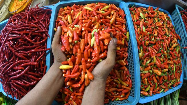 Pedagang mengambil cabai rawit merah untuk ditimbang di Pasar Senen, Jakarta, Rabu (13/7/2022). ANTARA FOTO/Aditya Pradana Putra