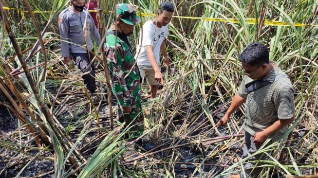 Mbah Boiman Tewas Secara Tragis, Petani Blitar Itu Ditemukan Terpanggang di Ladang Tebu