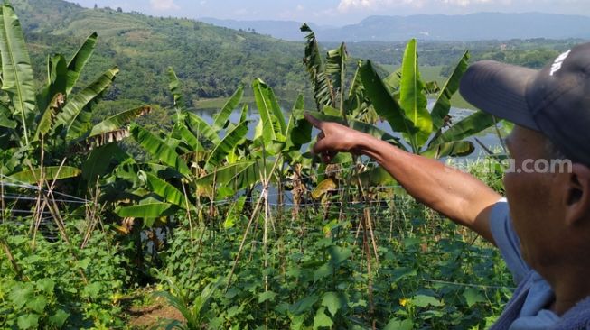 Penampakan Bekas Pabrik dan Kebun Koka di Bandung pada Era Kolonial Belanda, Bisa Hasilkan Ratusan Ribu Kilo Kokain