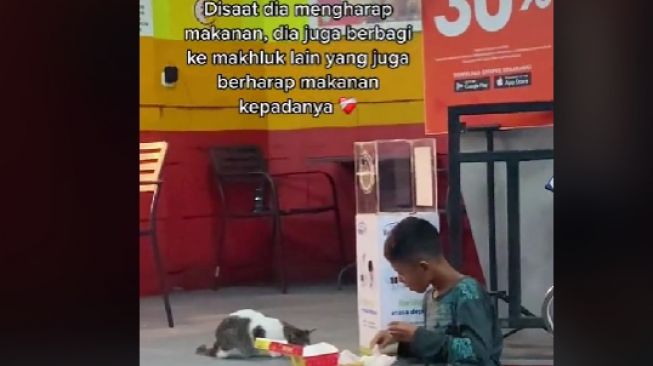 Terharu dengan Anak Jalanan Berbagi Makanan ke Kucing, Netizen Ramai-ramai Minta Open Donasi