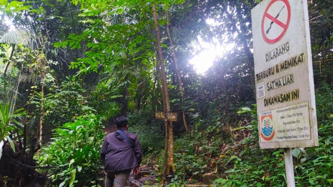 Hutan Keramat di Dekat Kota Bandung Ini Tak Bisa Dimasuki Sembarangan, Orang Berbaju Merah Dilarang Masuk