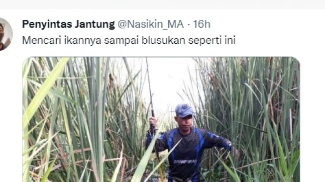 Tino saat blusukan mencari ikan gabus (Twitter/ @Nasikin_MA).